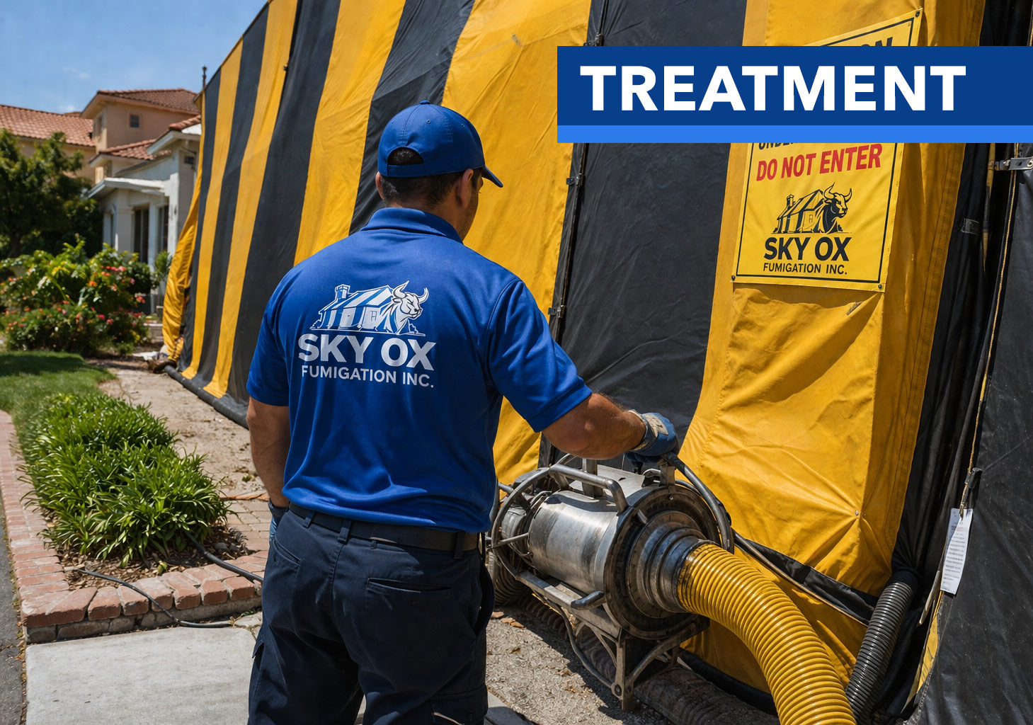 termite treatment in Morgan Hill