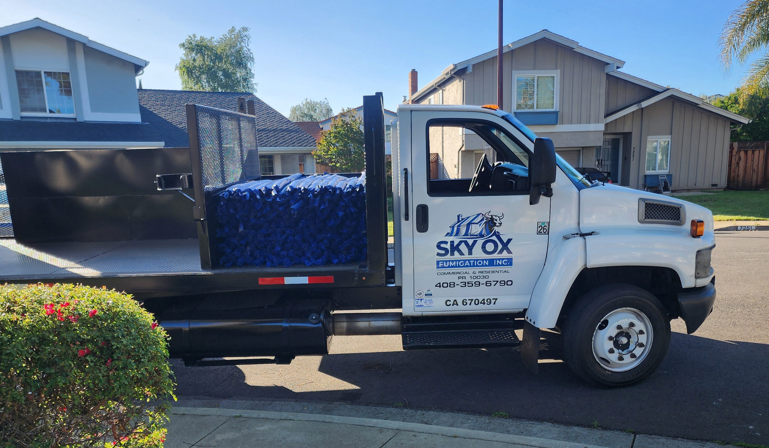 Termite Prevention in Los Gatos